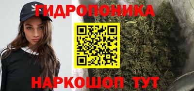 прущий лед Будённовск